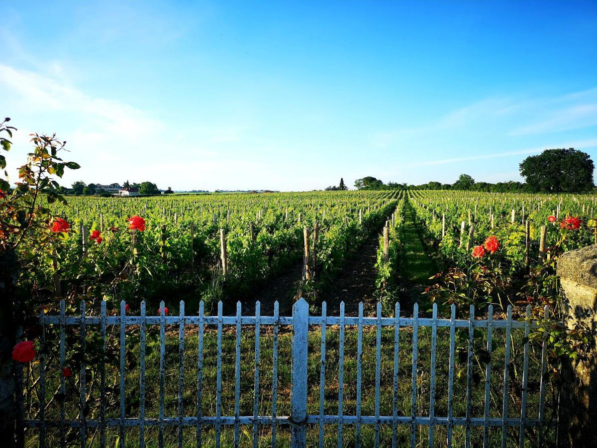 La Maison Des Vignes Saint Emilion Lejlighed Eksteriør billede